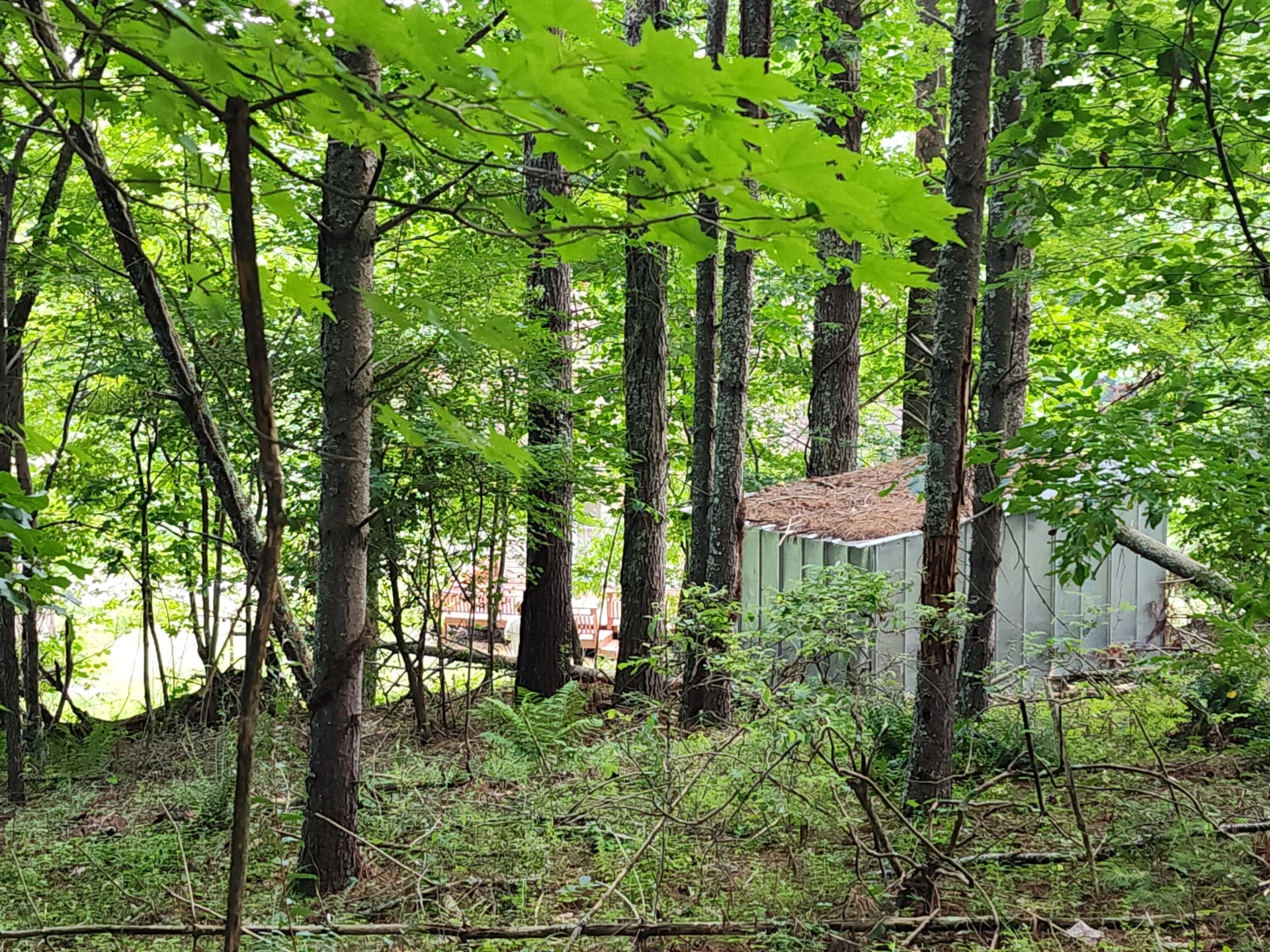 885 Music RD - Photo 53
