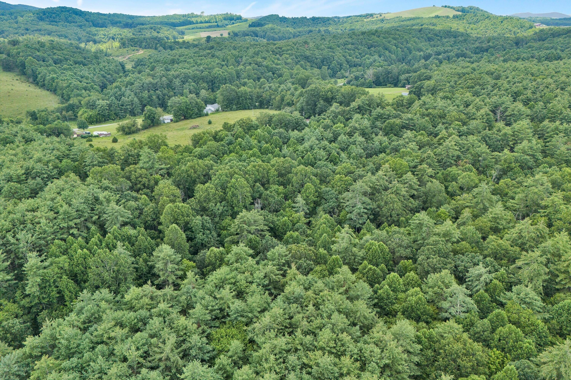 885 Music RD - Photo 61