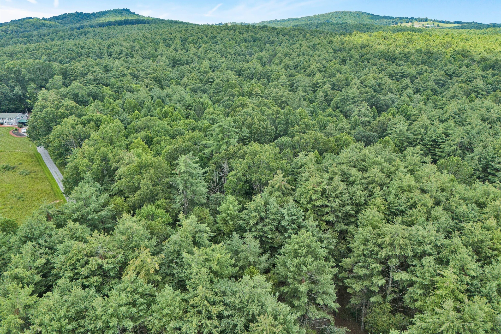 885 Music RD - Photo 65