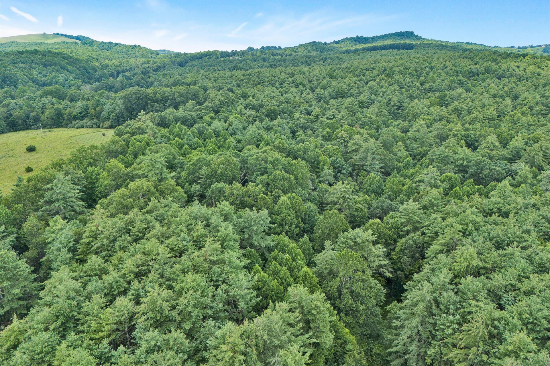 885 Music RD - Photo 66