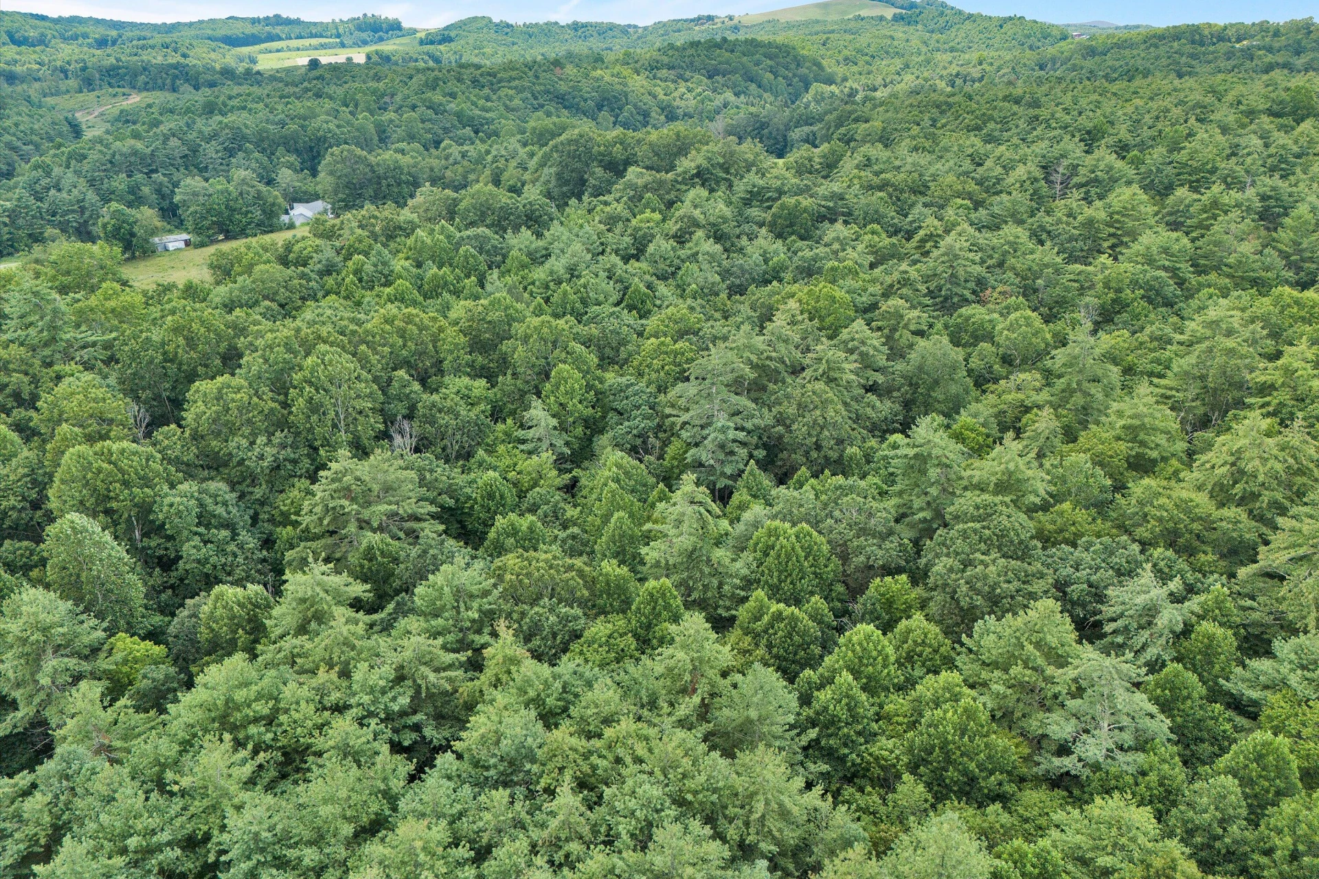 885 Music RD - Photo 67