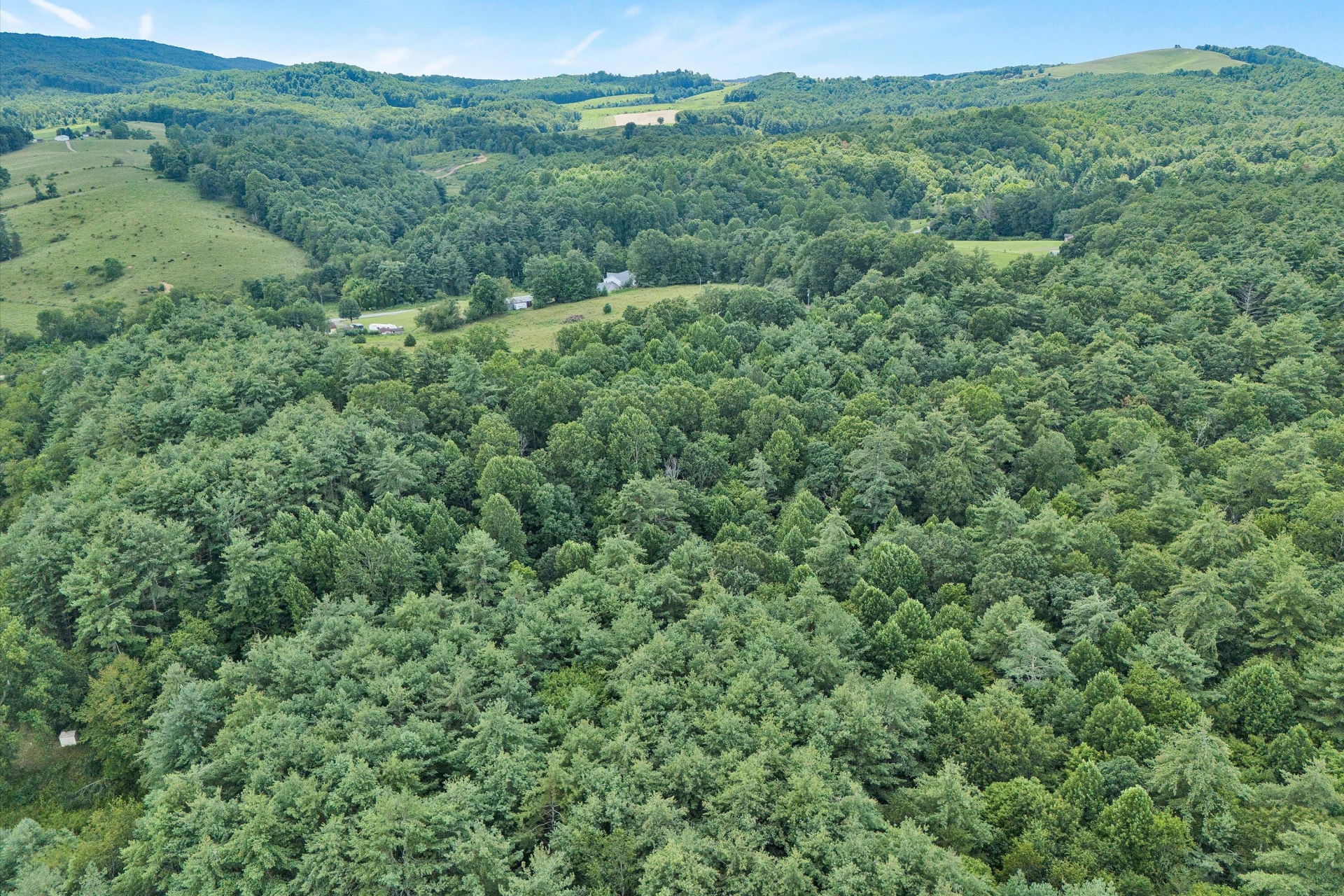 885 Music RD - Photo 69