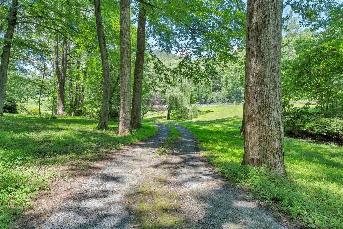 1338 HUNTING CREEK RD - Photo 48