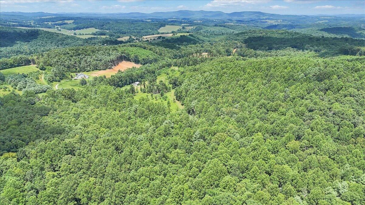 517 Rock Hill Church RD - Photo 10