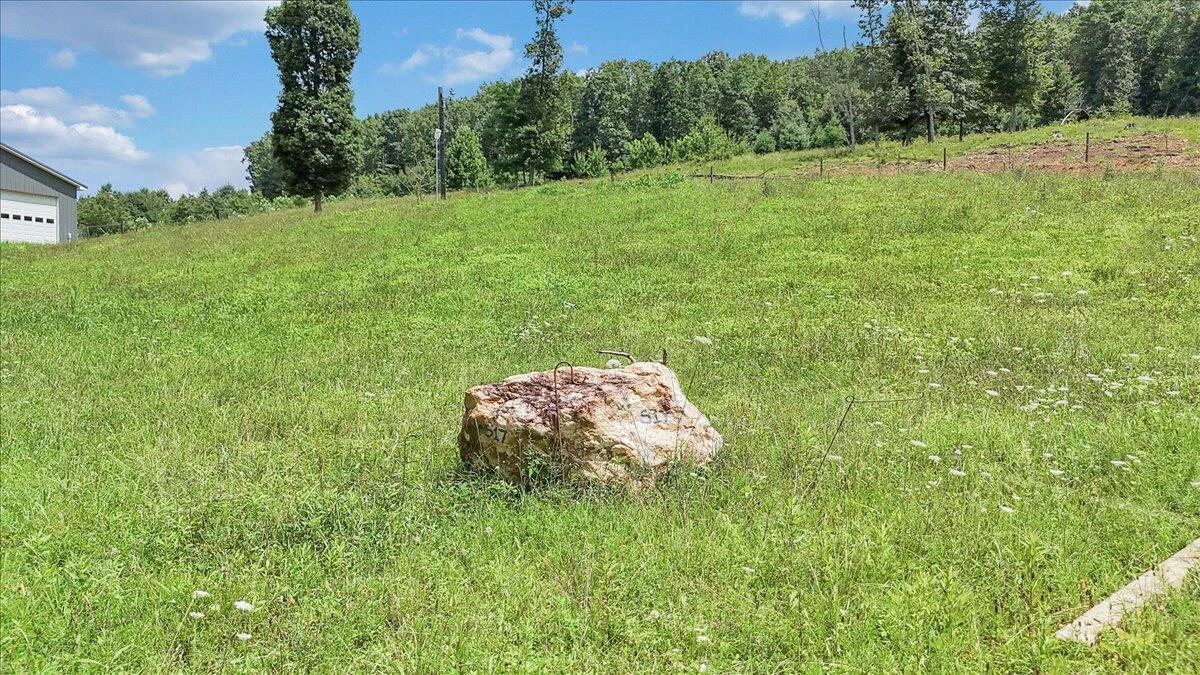 517 Rock Hill Church RD - Photo 13