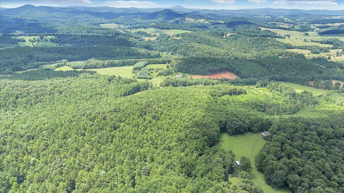517 Rock Hill Church RD - Photo 14
