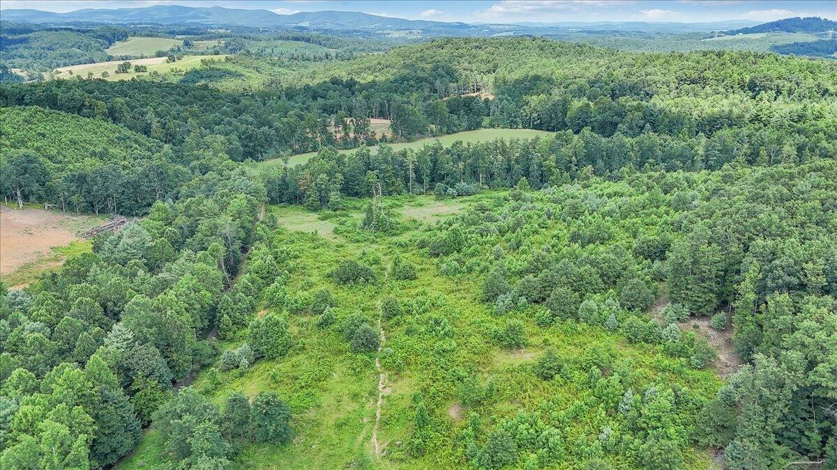 517 Rock Hill Church RD - Photo 19