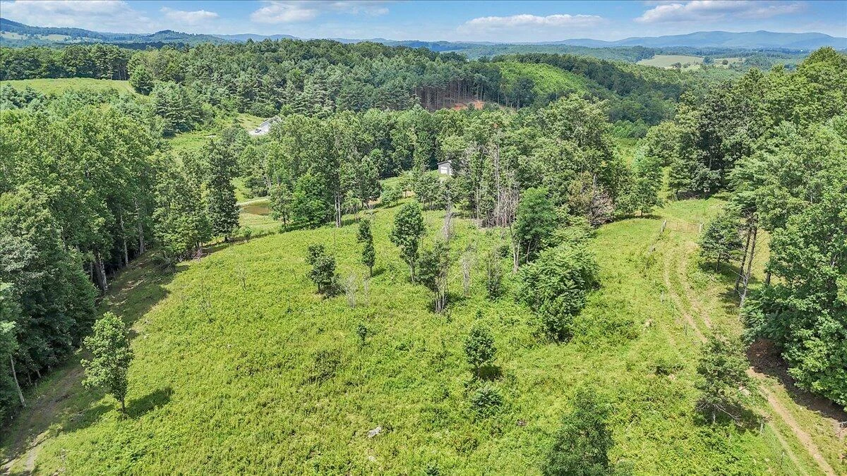 517 Rock Hill Church RD - Photo 2