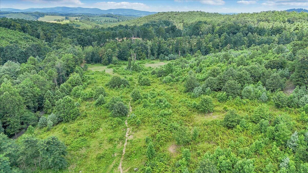 517 Rock Hill Church RD - Photo 20