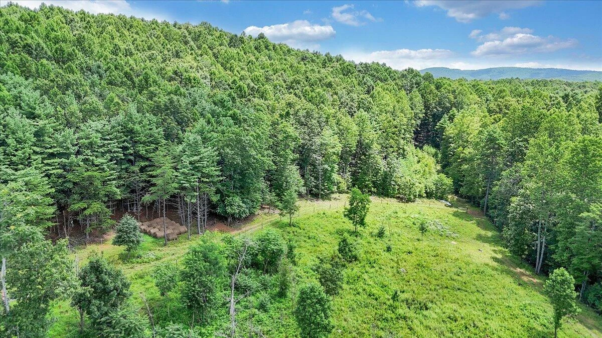517 Rock Hill Church RD - Photo 21