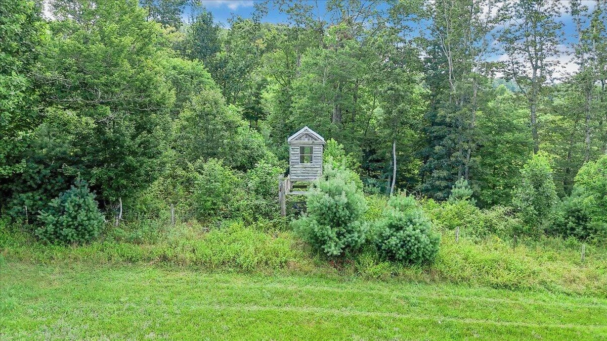 517 Rock Hill Church RD - Photo 23