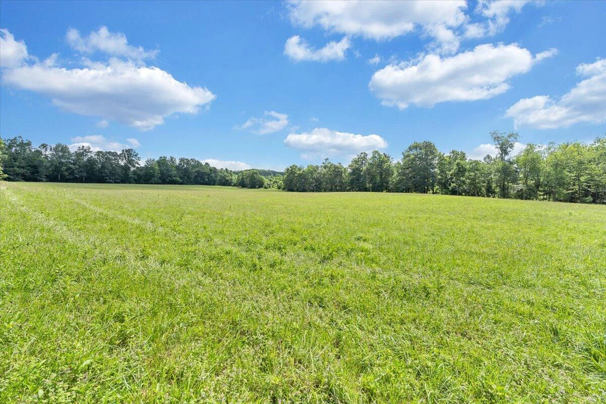 517 Rock Hill Church RD - Photo 34
