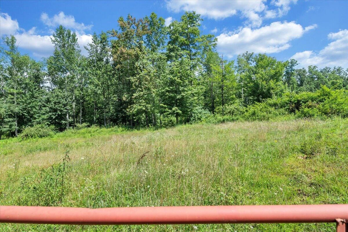 517 Rock Hill Church RD - Photo 41