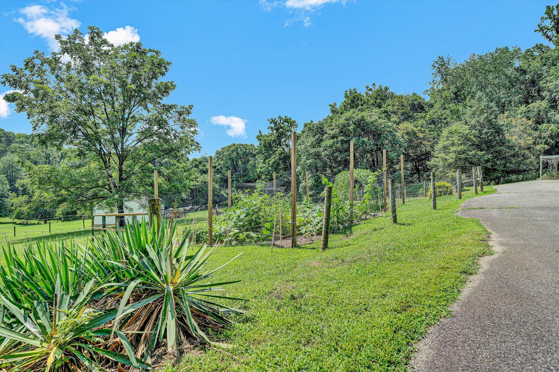 2332 Rutrough RD - Photo 32