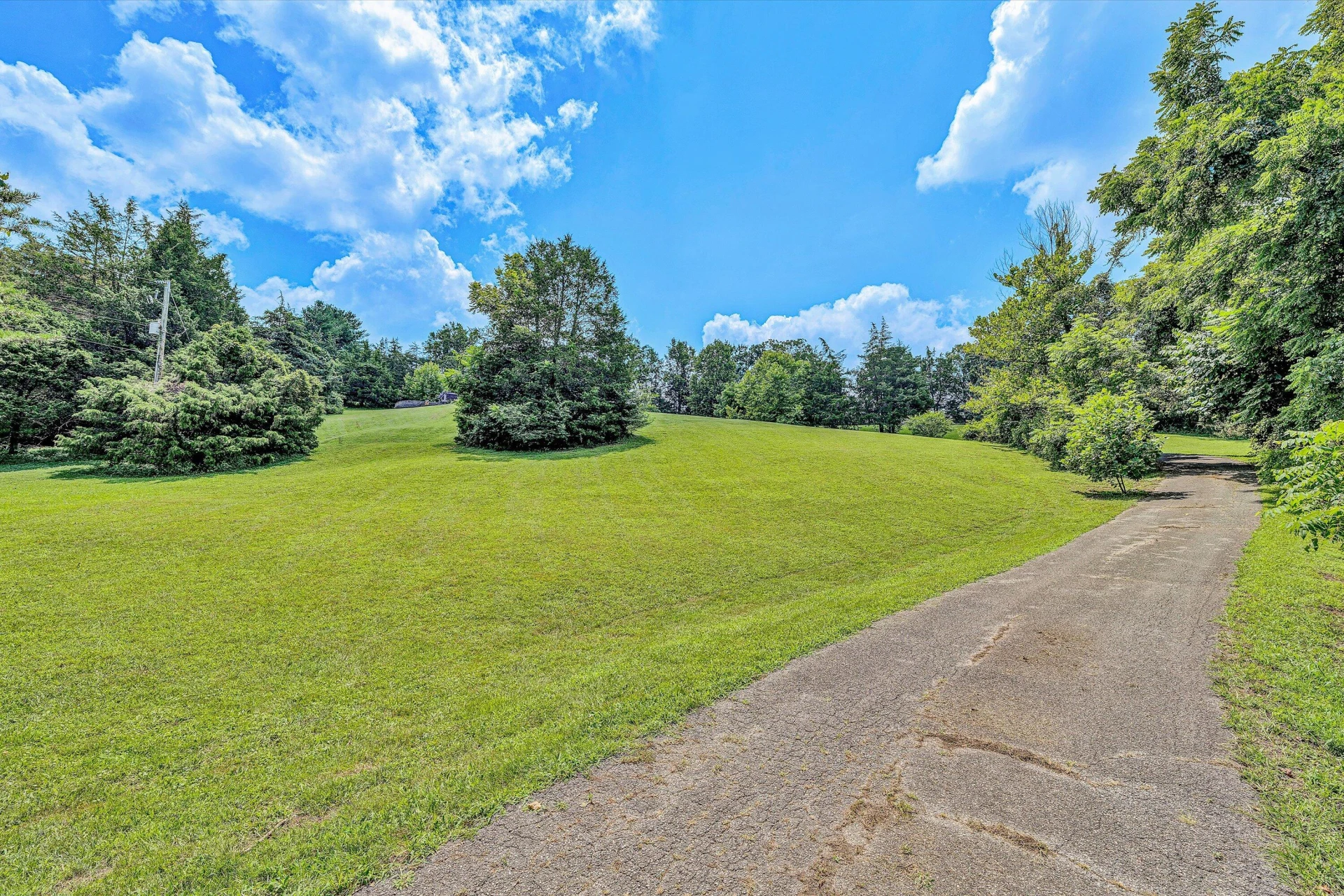 501 Saddlewood DR - Photo 58