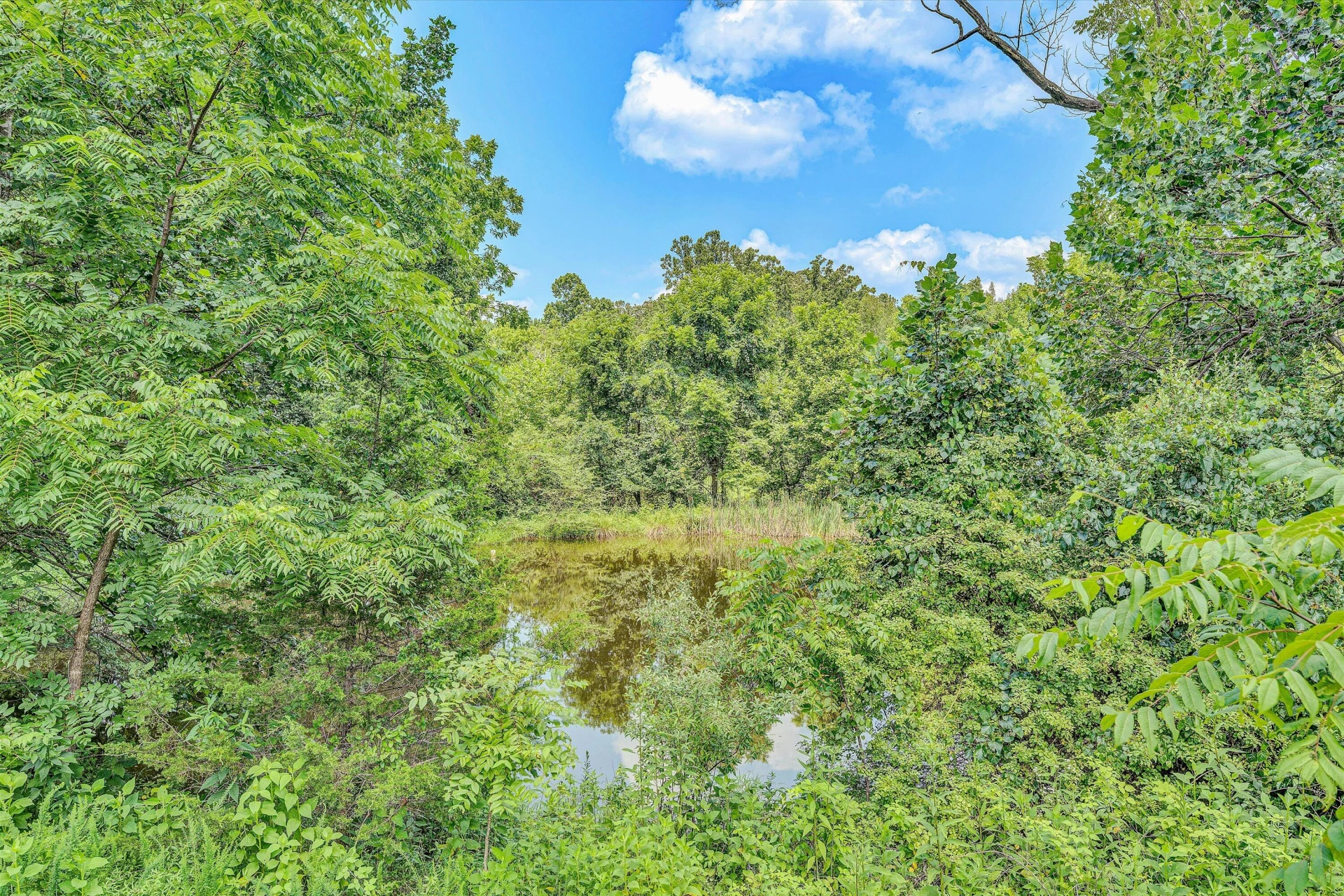 501 Saddlewood DR - Photo 59