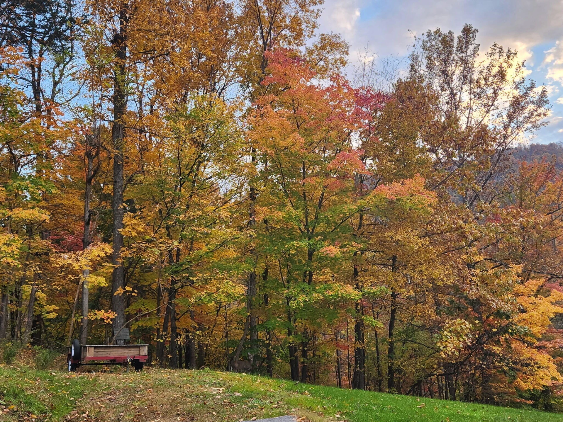 7526 Apple Grove LN - Photo 23
