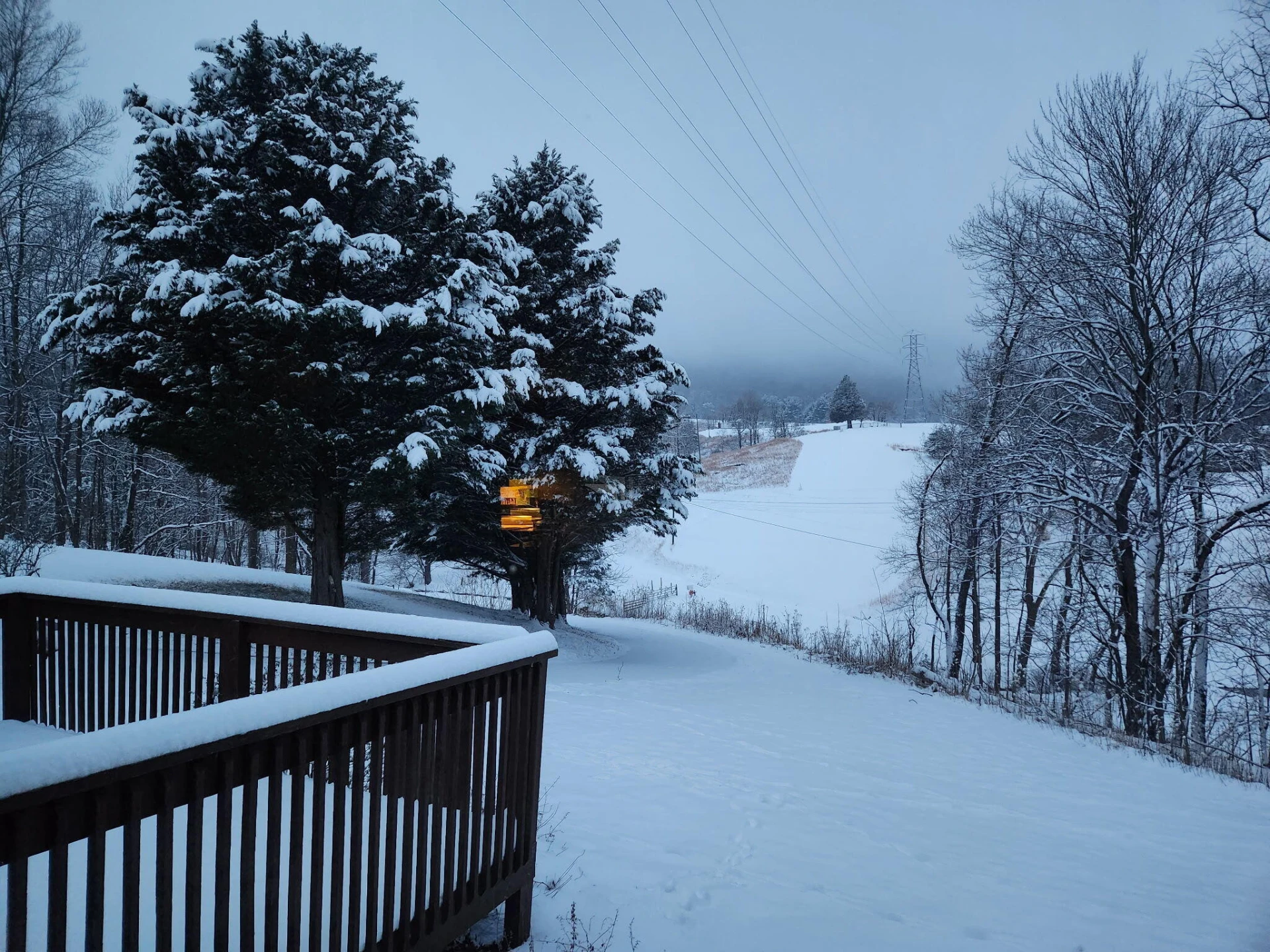 7526 Apple Grove LN - Photo 24