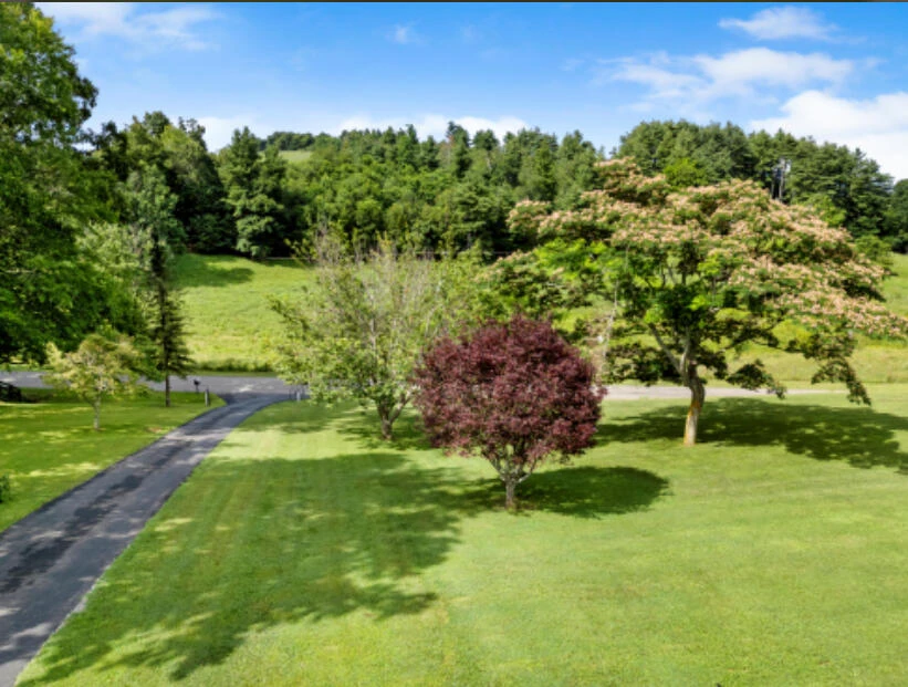437 Posey RD - Photo 8