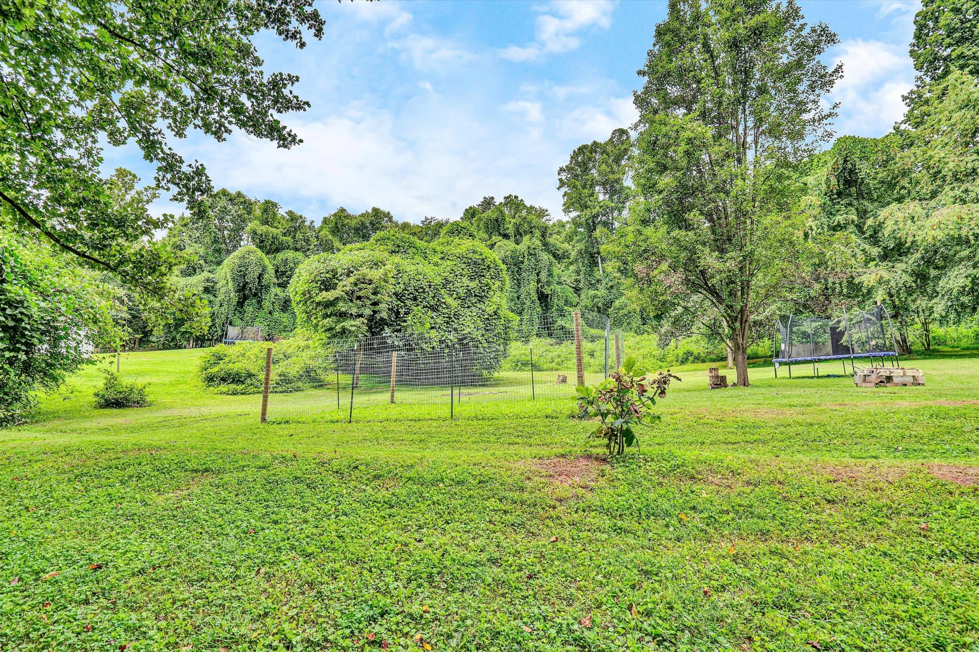 1759 Daniels Creek  RD - Photo 39