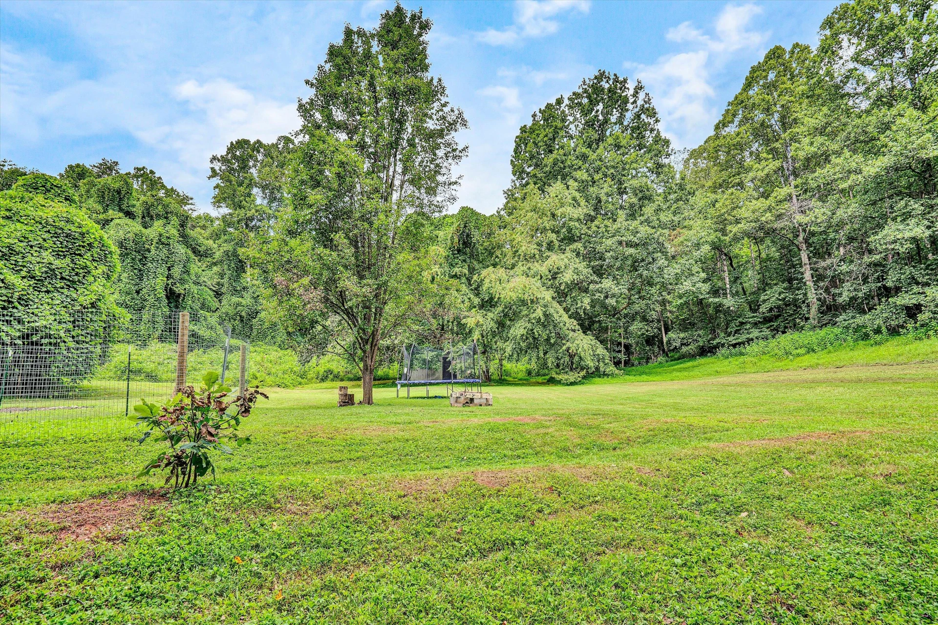 1759 Daniels Creek  RD - Photo 40