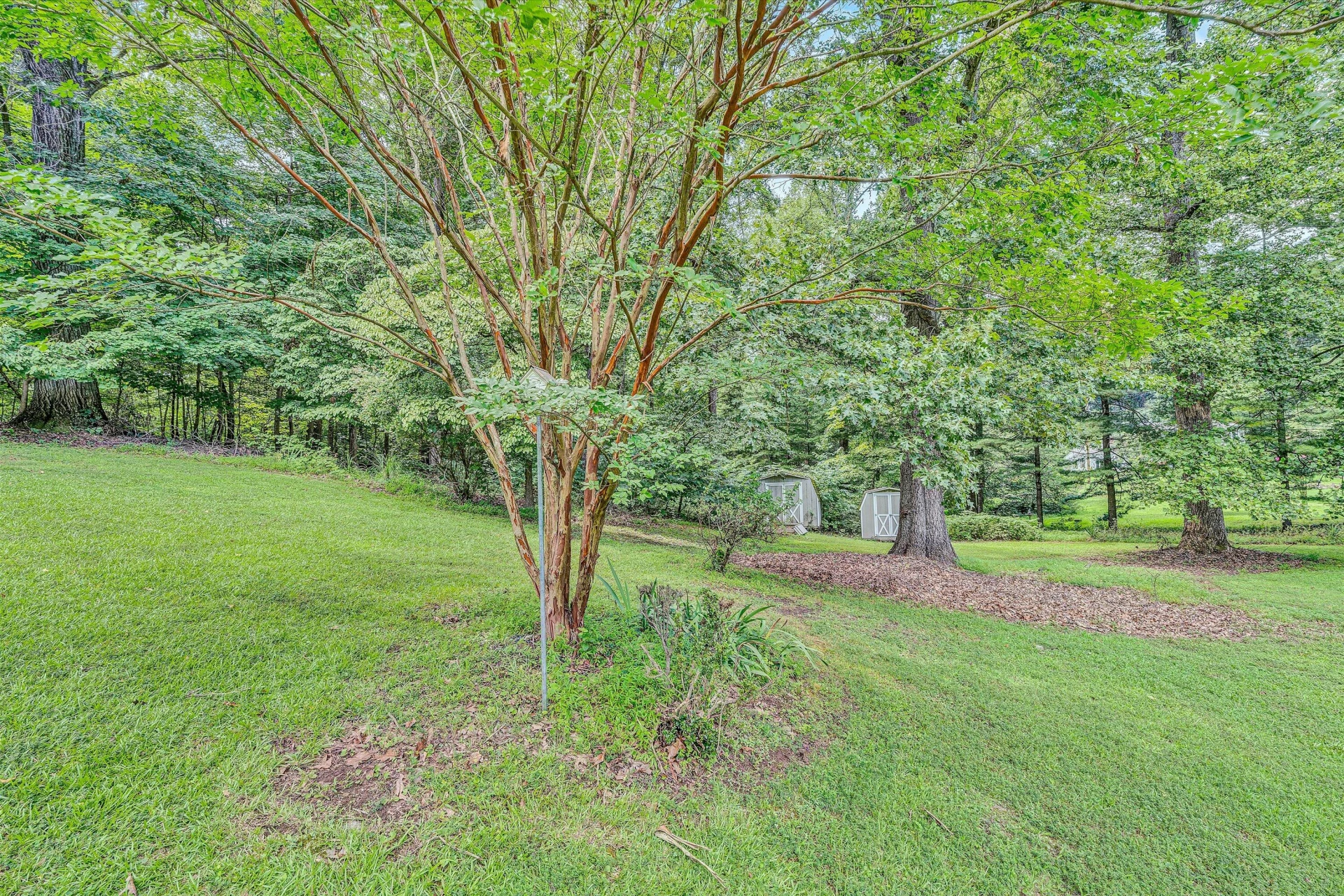 4725 Tree Top Camp RD - Photo 35