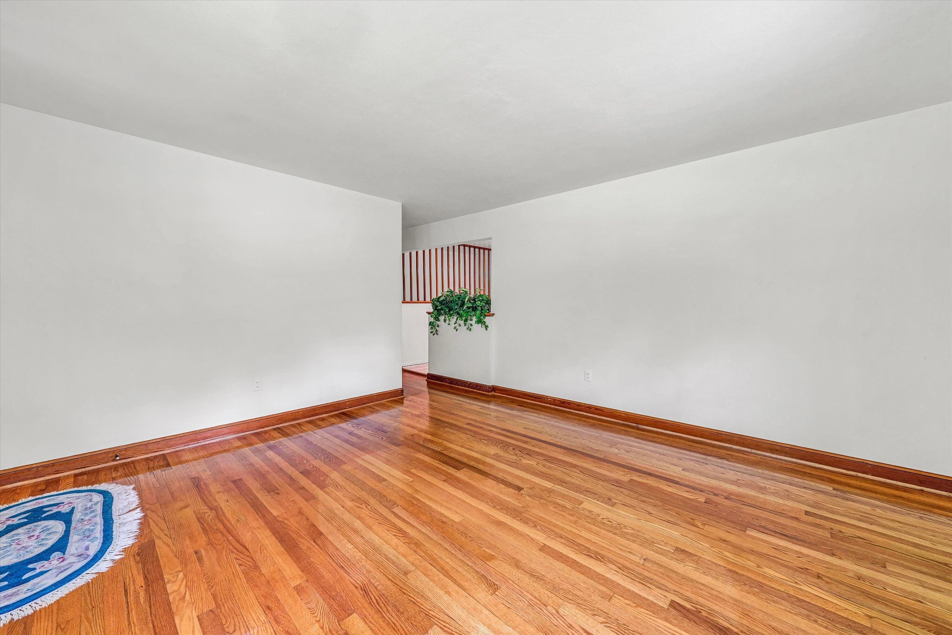 4725 Tree Top Camp RD - Photo 6