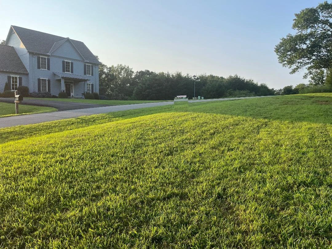 Lot 26 Palmetto Bluff RD - Photo 2