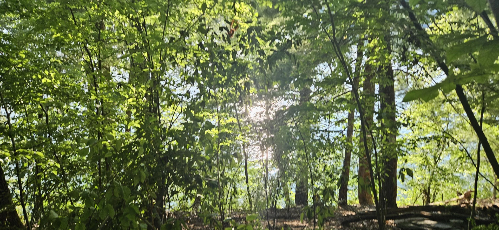 Lot 9 Longview Estates DR - Photo 23