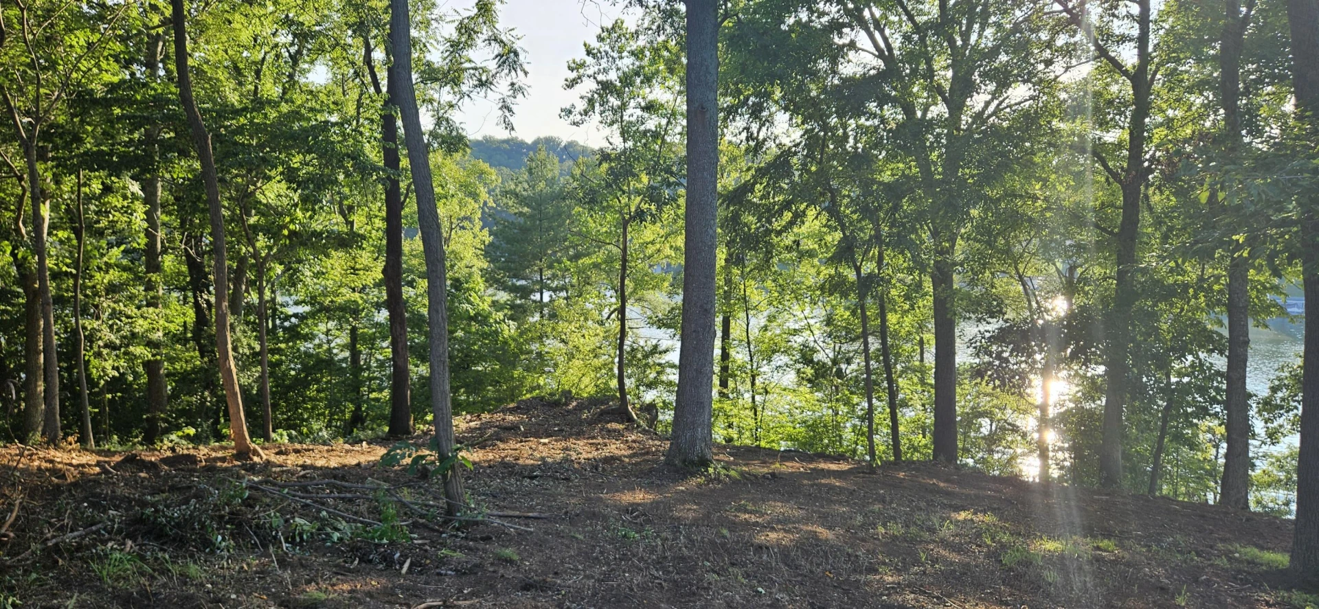 Lot 9 Longview Estates DR - Photo 41