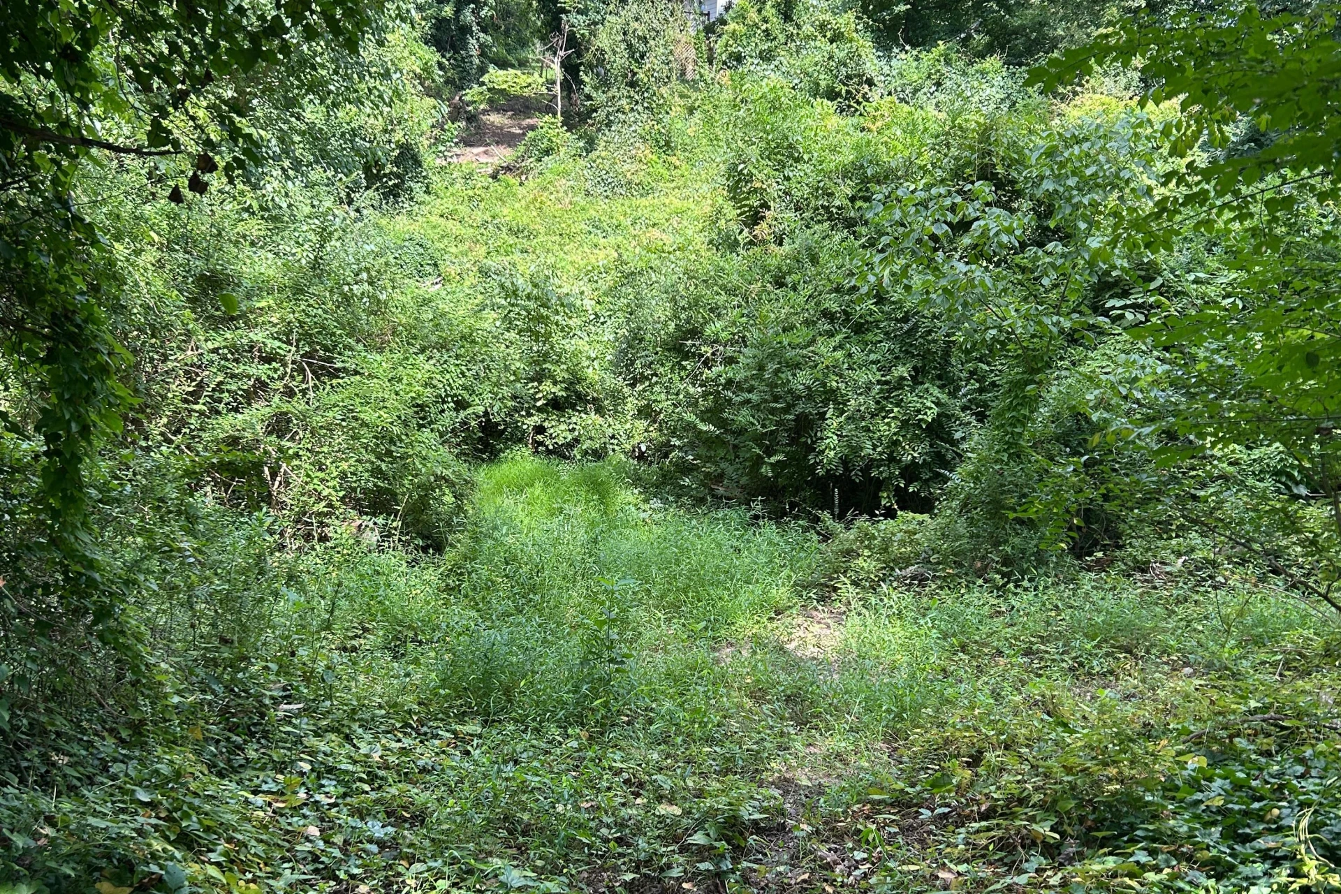 0 Brooke ST - Photo 4