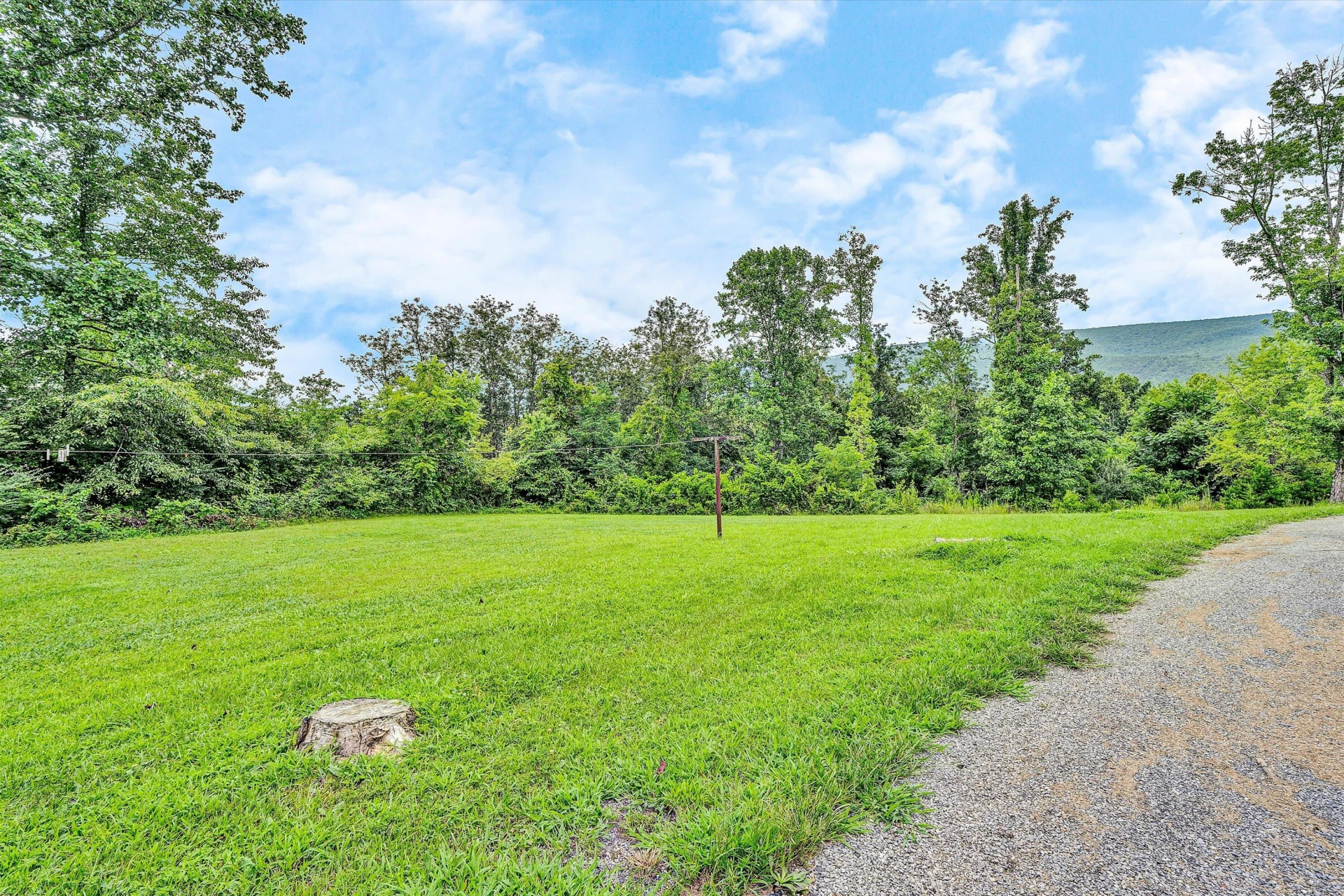 9561 Upper Craigs Creek RD - Photo 41