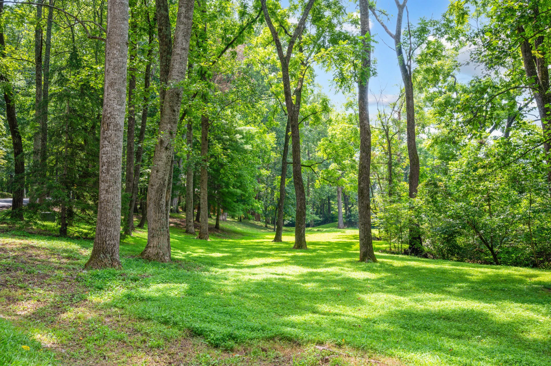 1440 Old Hickory LN - Photo 64