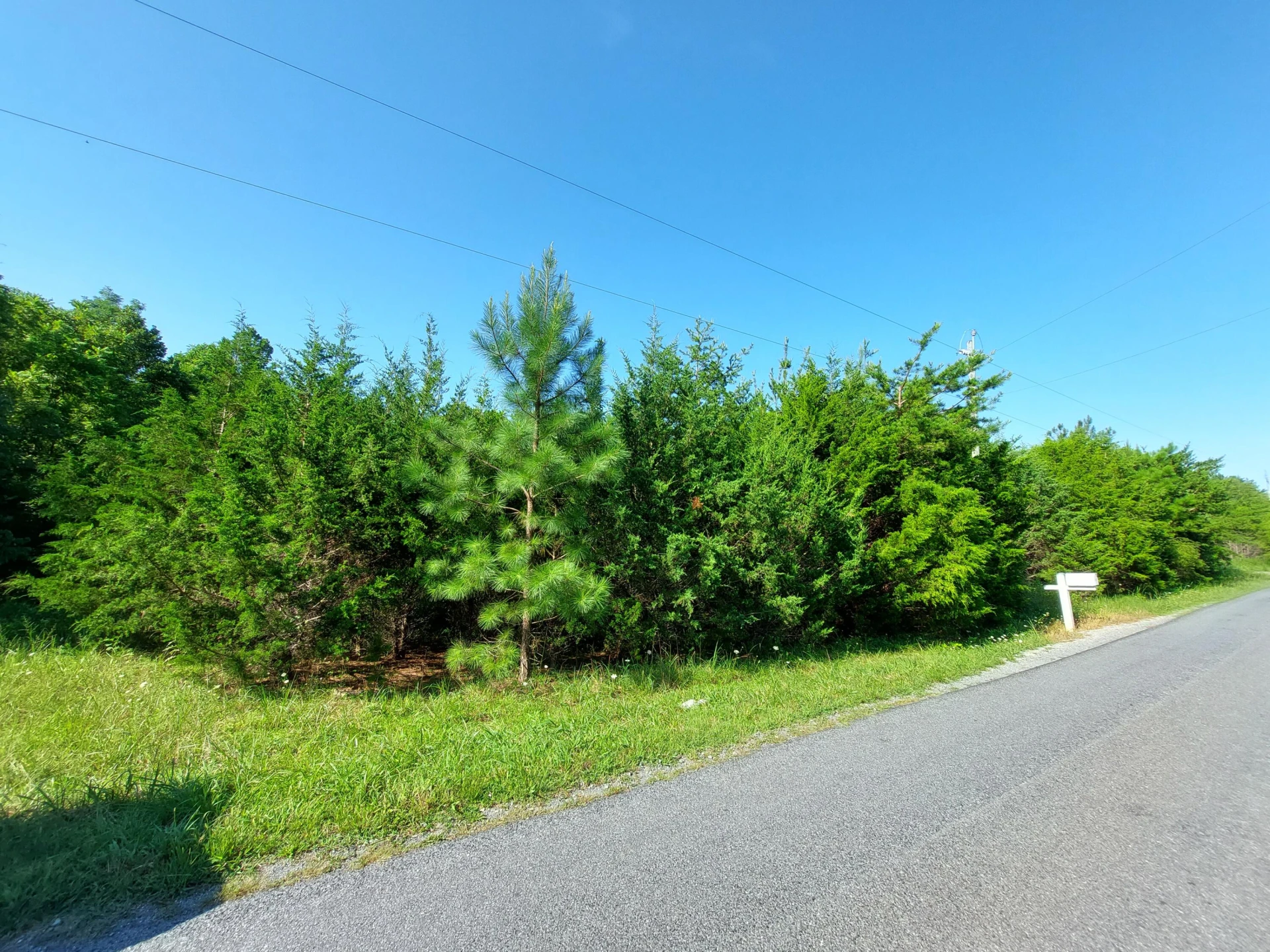 00 STONE MOUNTAIN RD - Photo 7