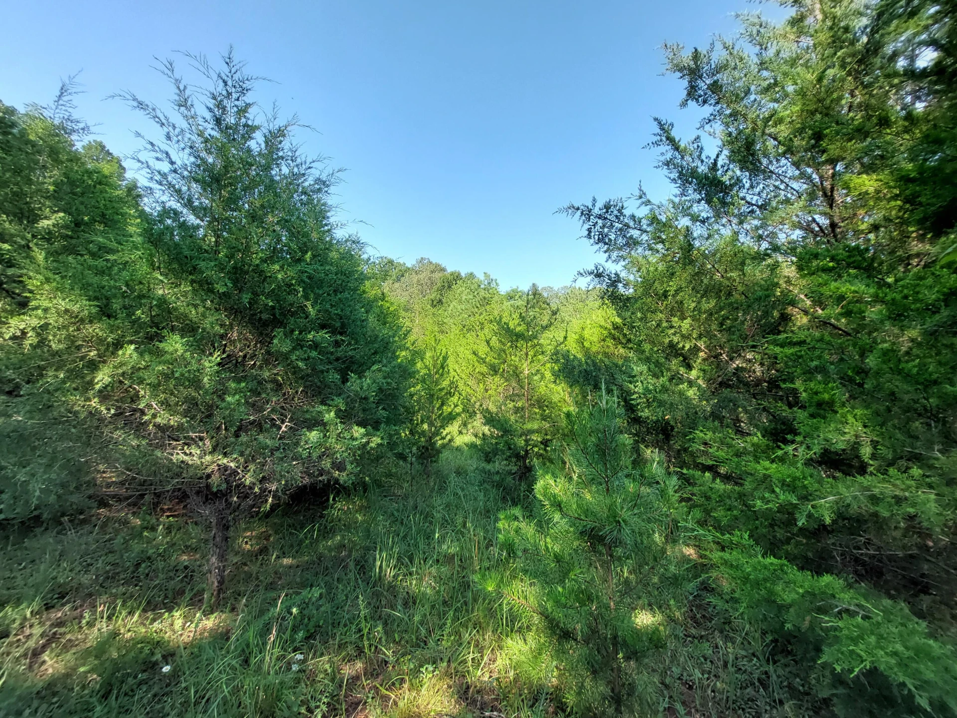 00 STONE MOUNTAIN RD - Photo 8