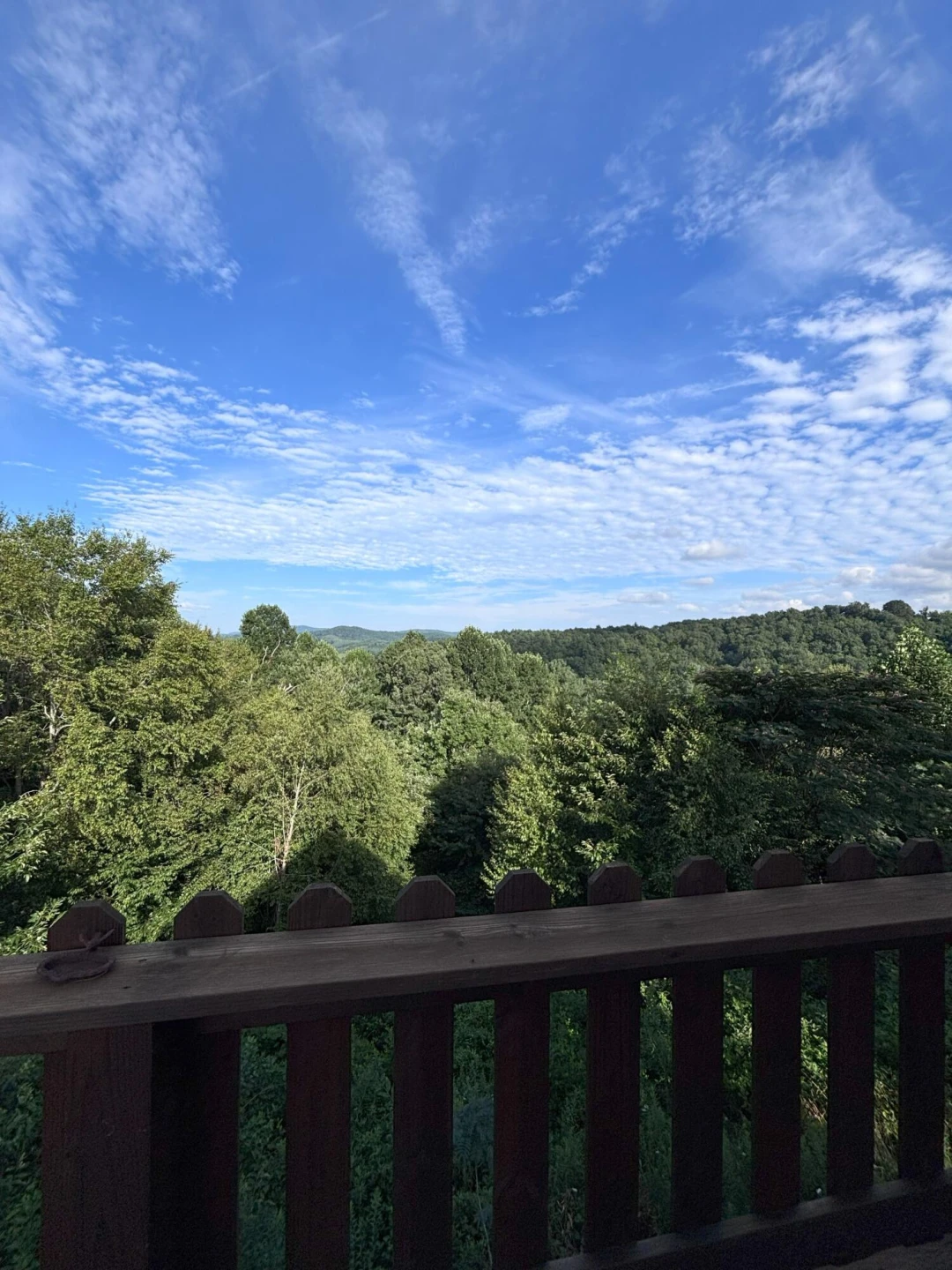 3119 Indian Valley RD - Photo 48