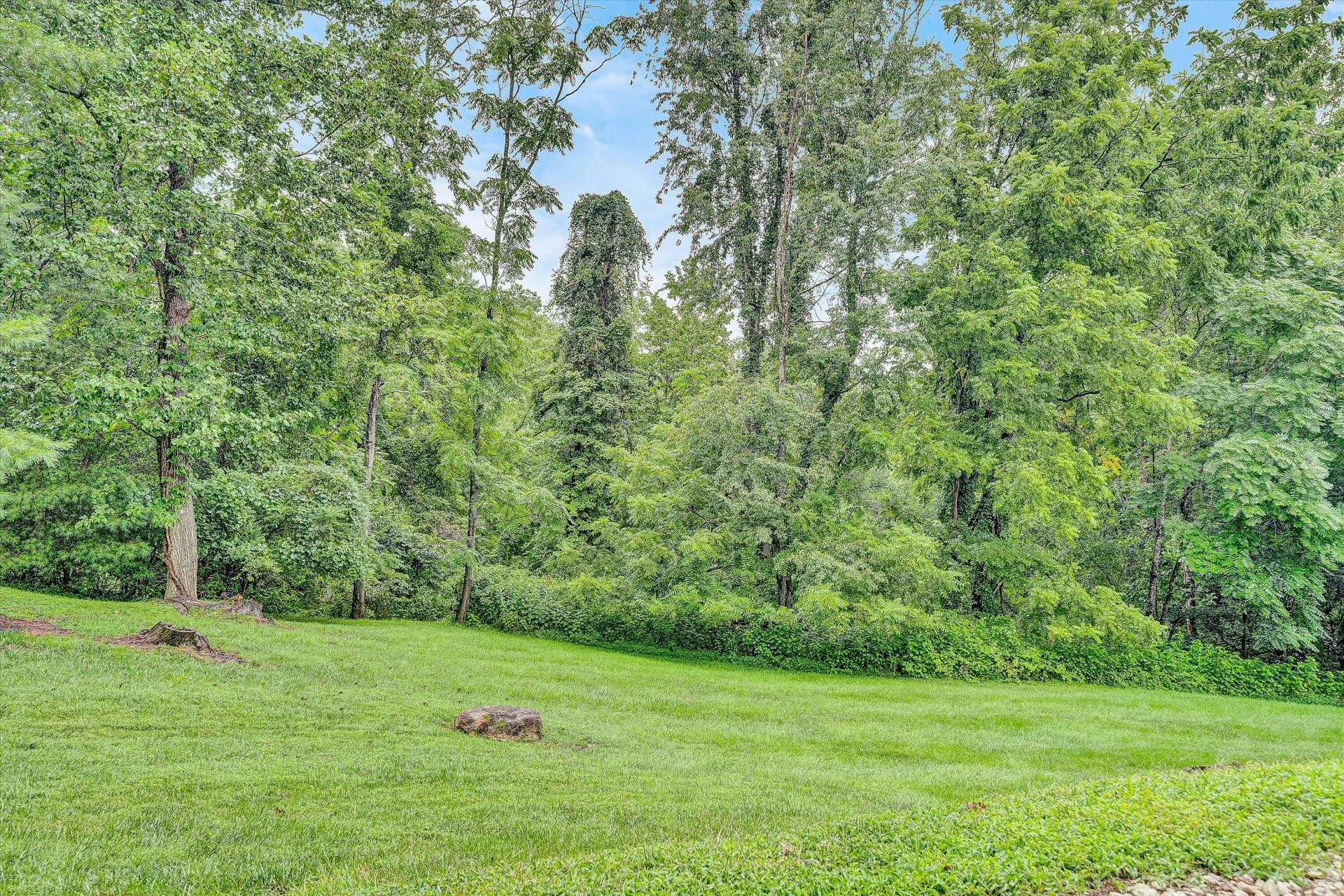 6521 Woodbrook DR - Photo 35