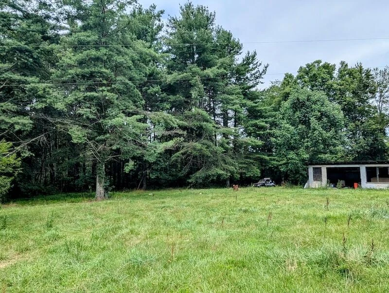 737 Agnes LN - Photo 10