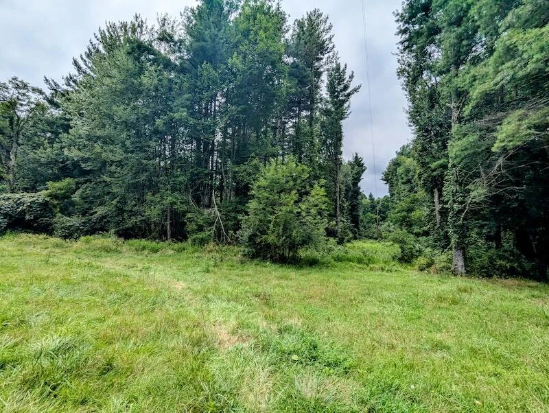 737 Agnes LN - Photo 12