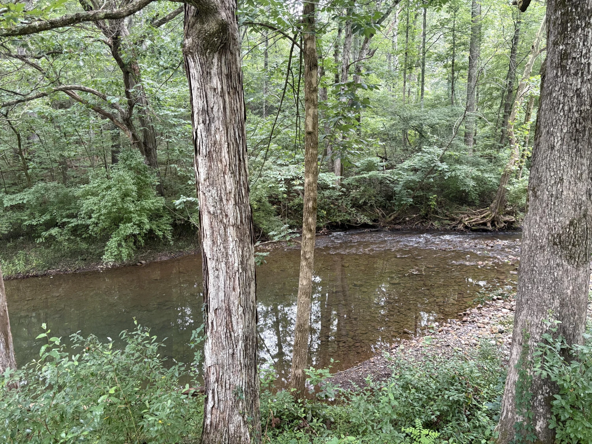 4611 Longdale Furnace RD - Photo 36
