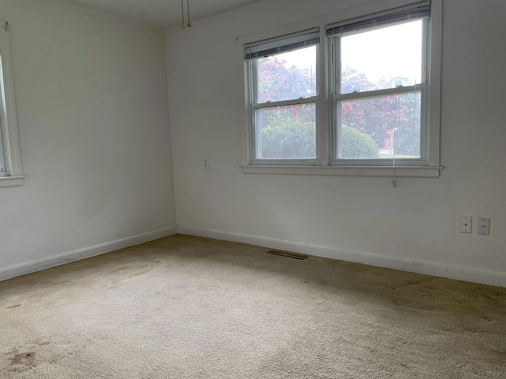 130 Derek DR - Photo 18