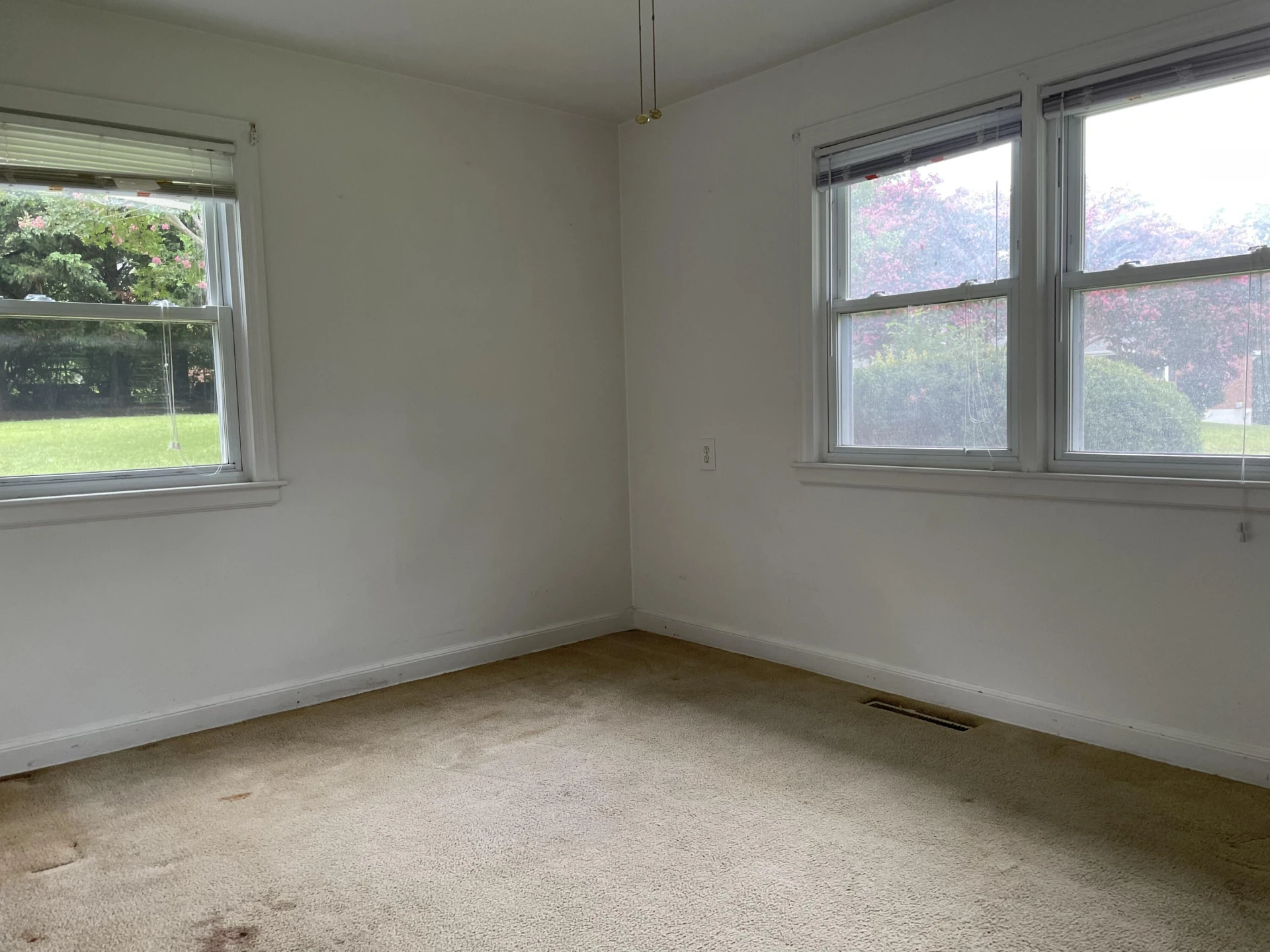 130 Derek DR - Photo 19