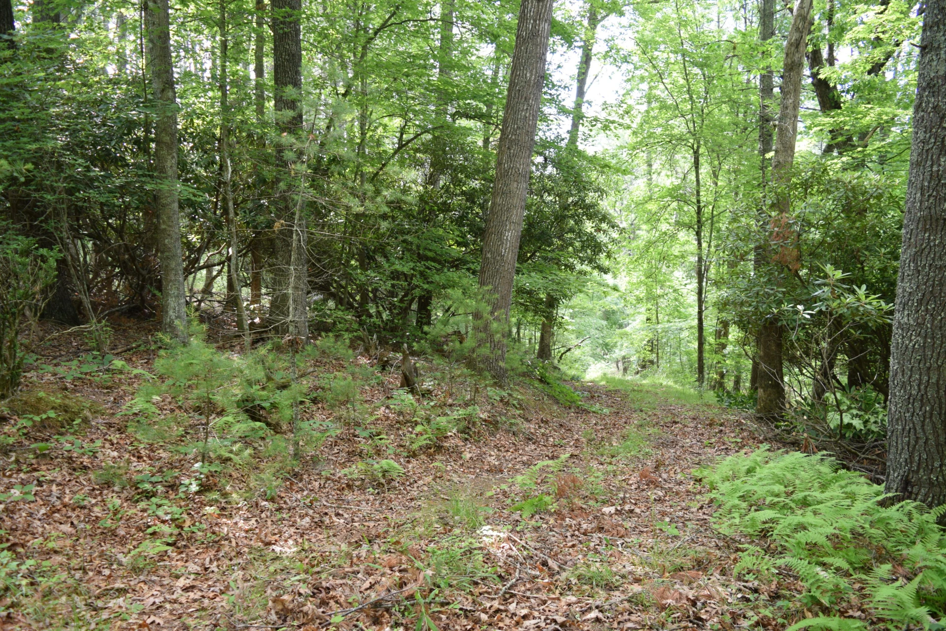 1866 Firehouse RD - Photo 10