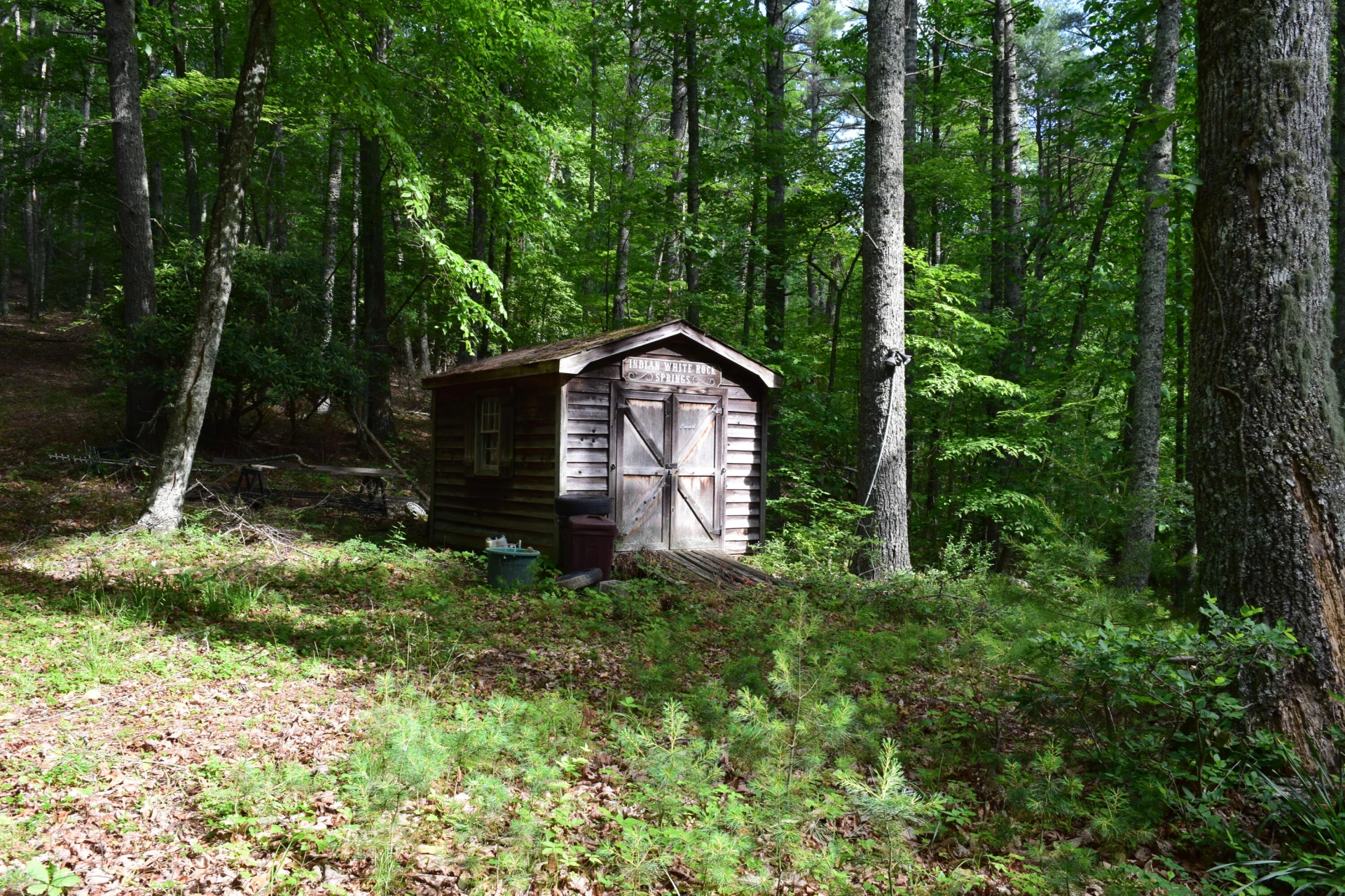 1866 Firehouse RD - Photo 11