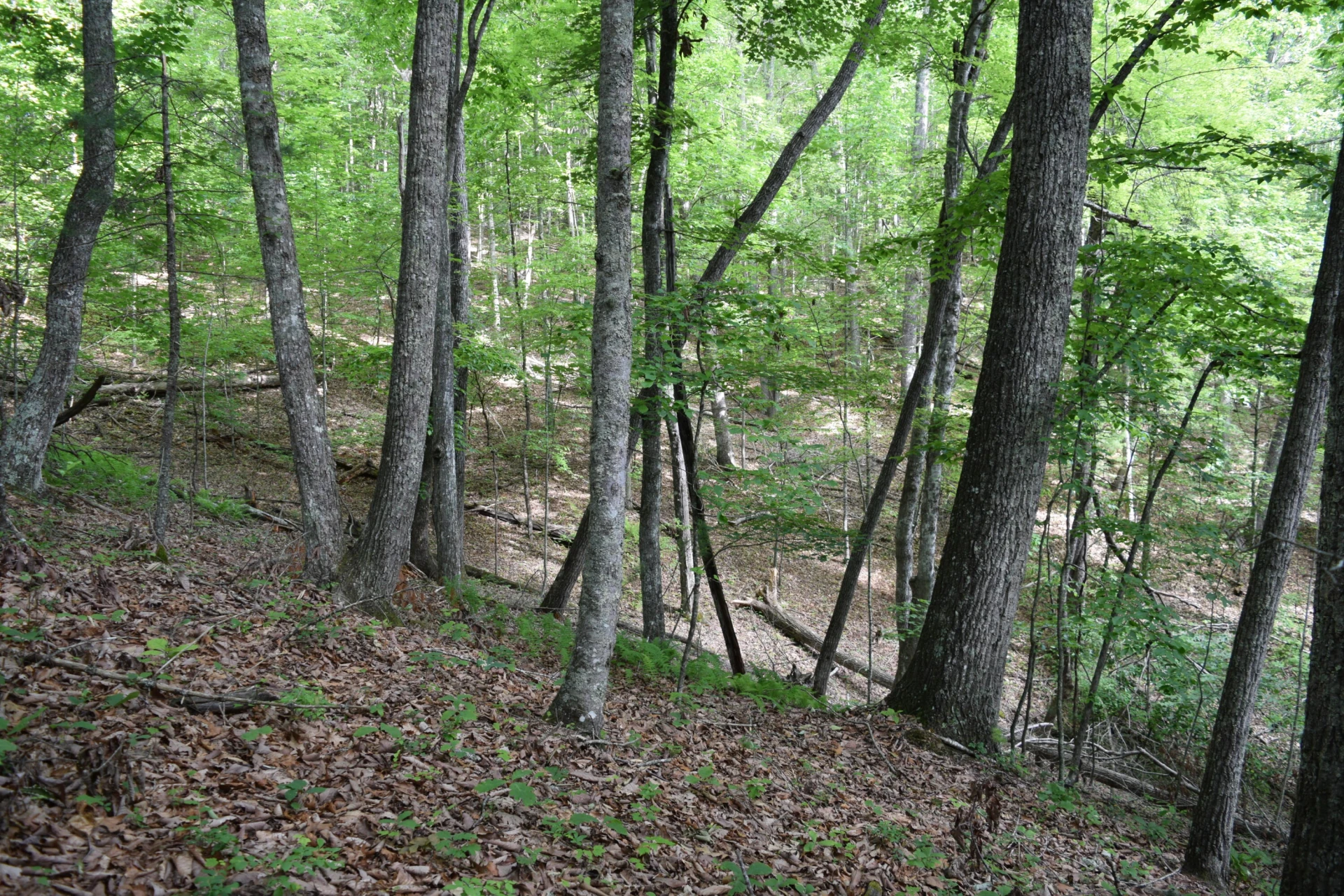 1866 Firehouse RD - Photo 17