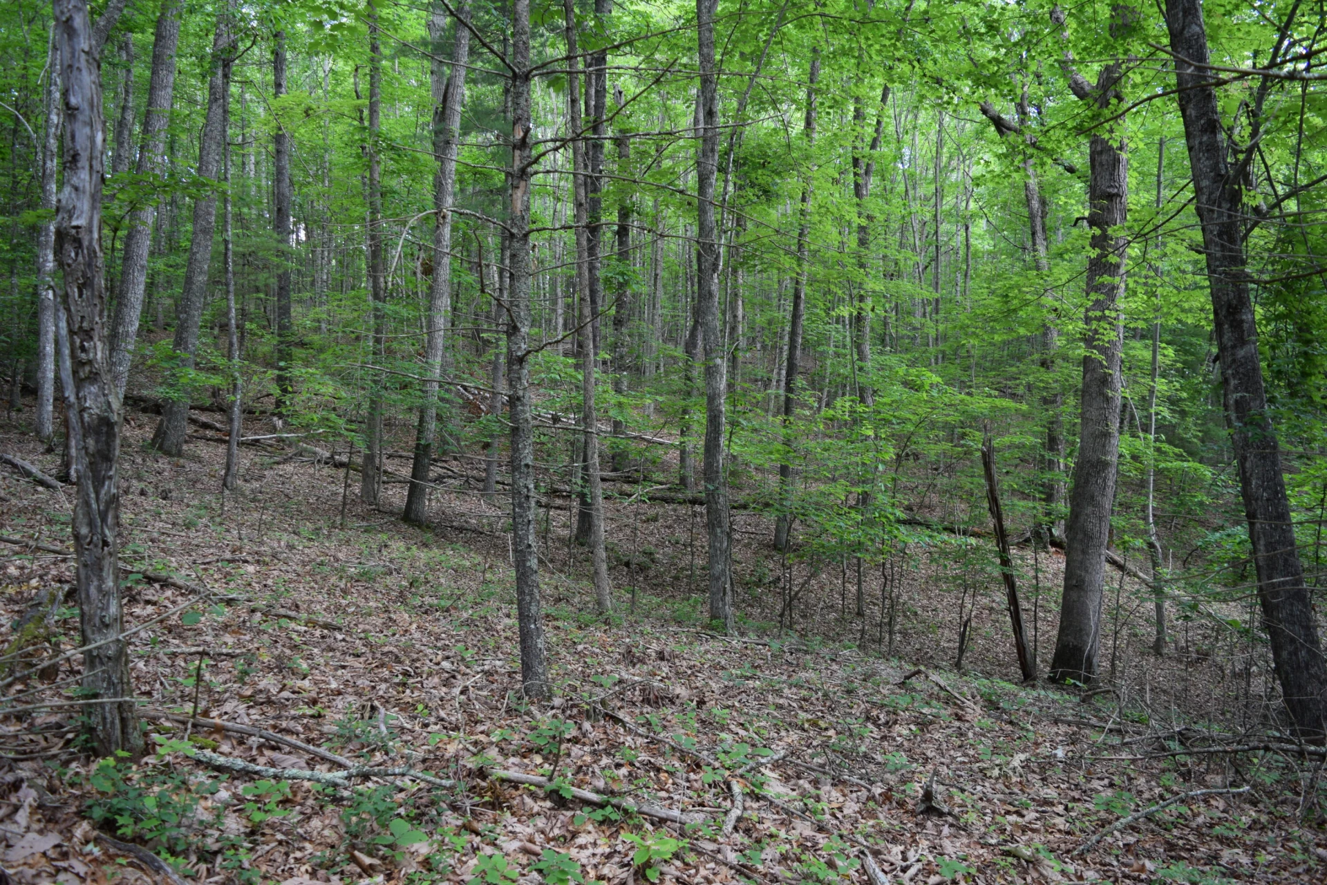 1866 Firehouse RD - Photo 18
