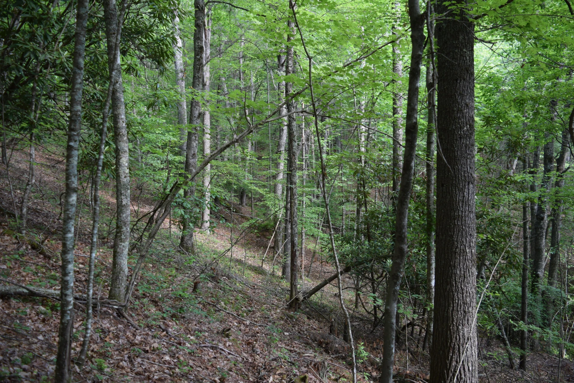 1866 Firehouse RD - Photo 20
