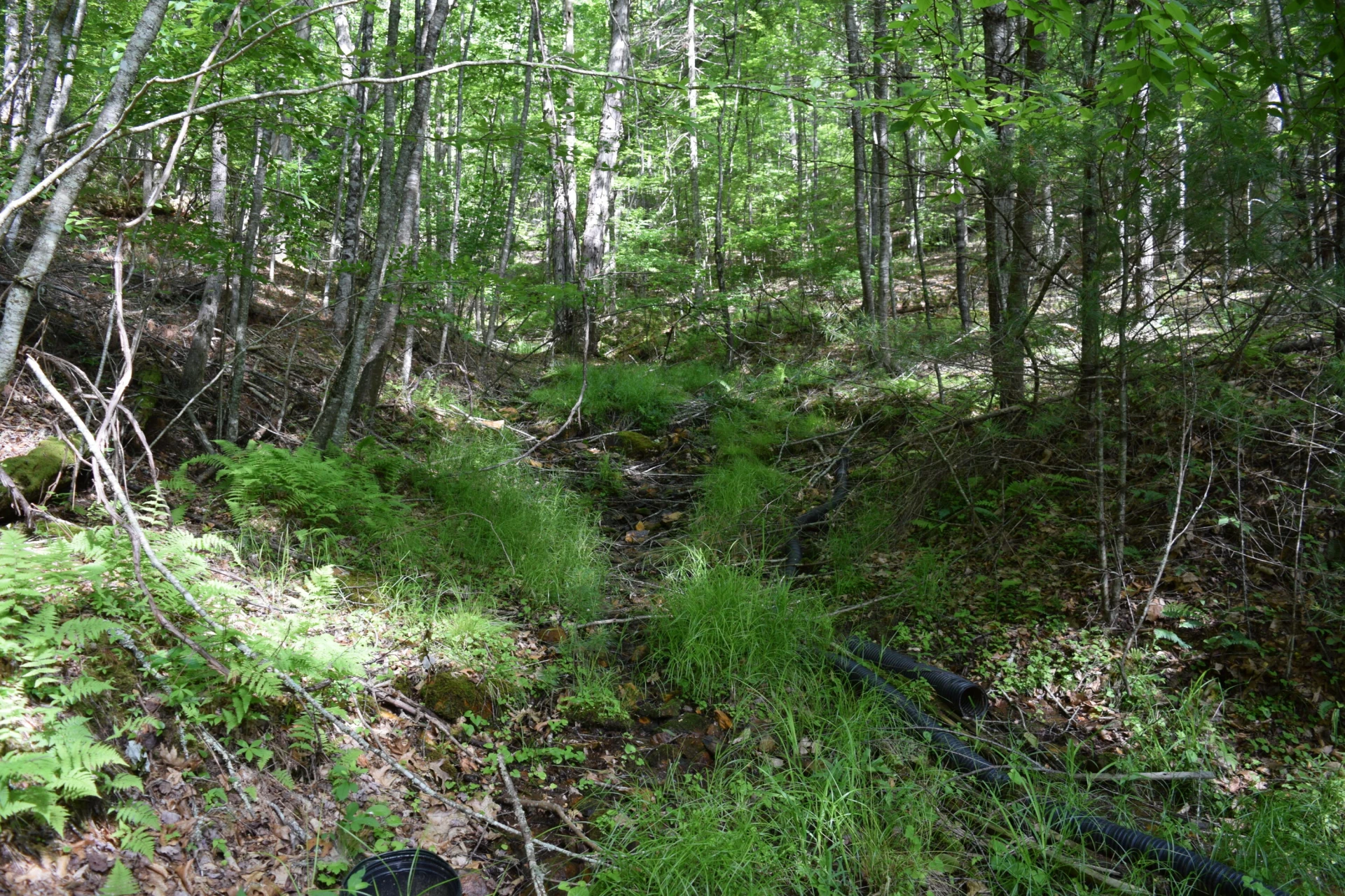 1866 Firehouse RD - Photo 21
