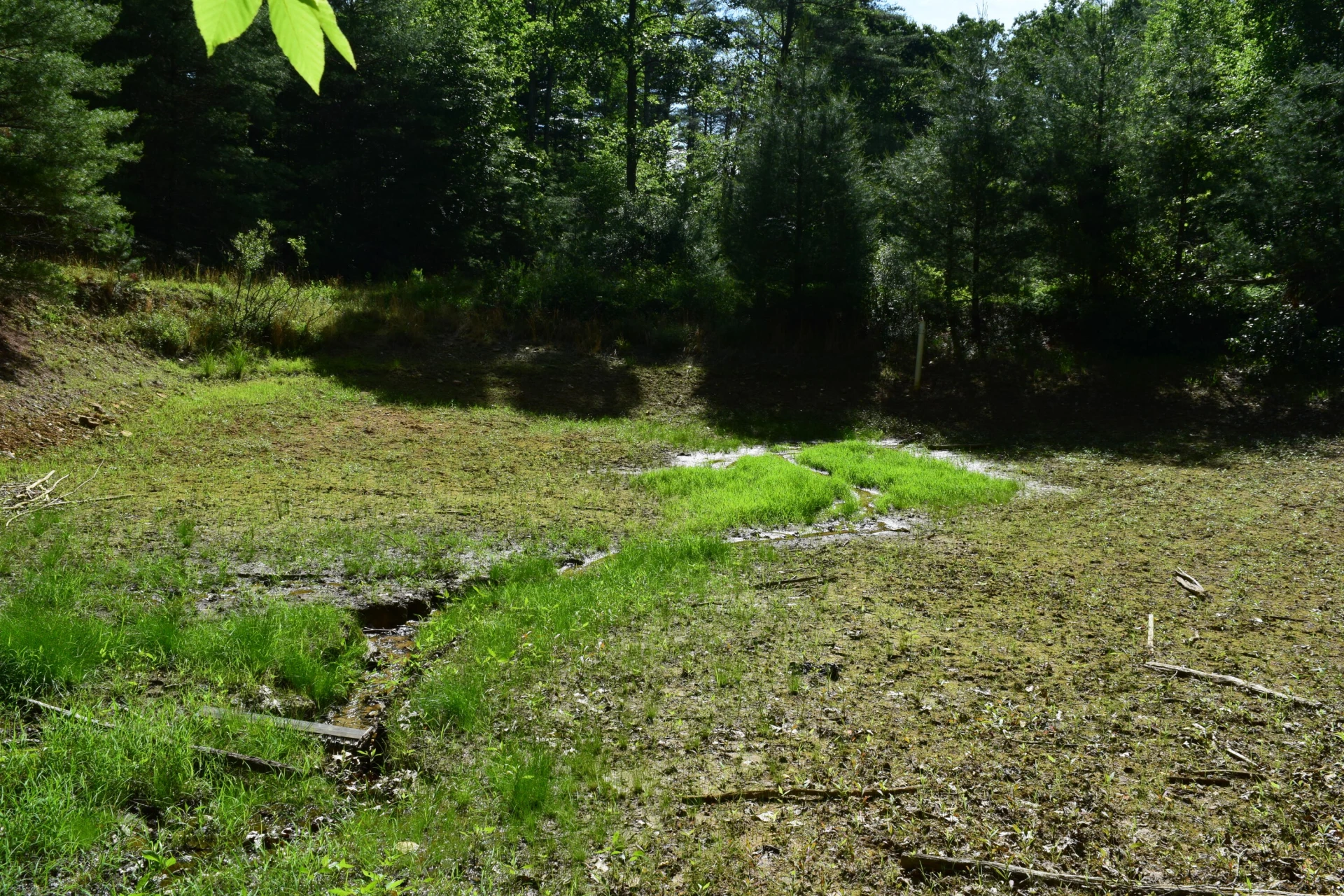 1866 Firehouse RD - Photo 22