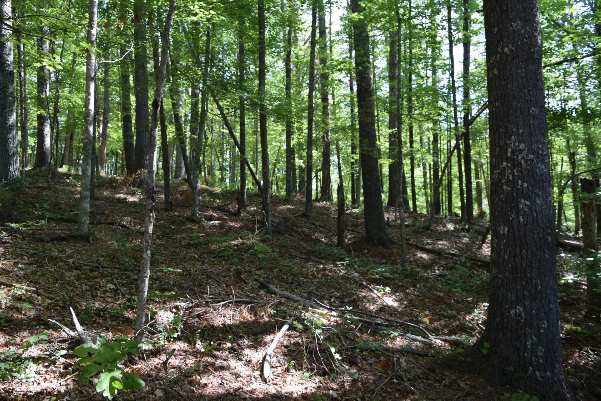 1866 Firehouse RD - Photo 25